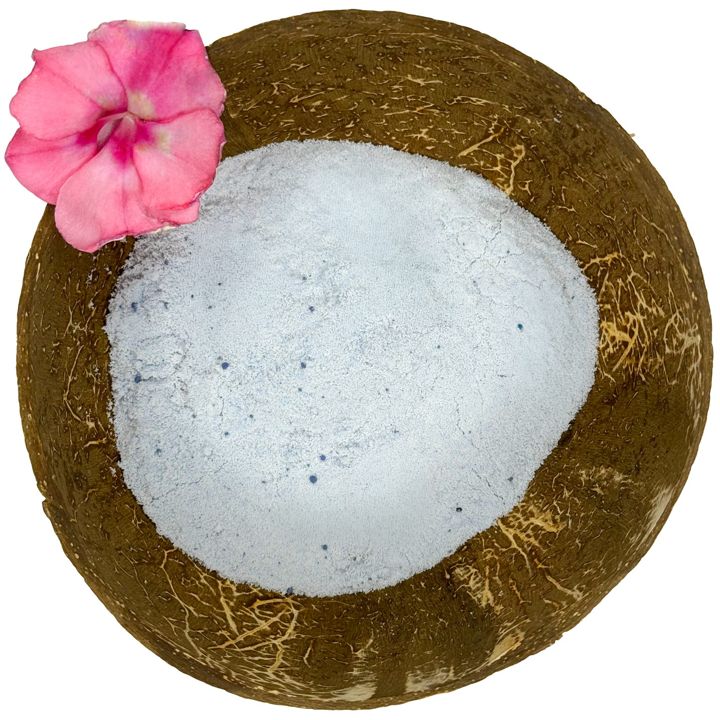 π₯₯π¦ Coconut Water - Bali Blue