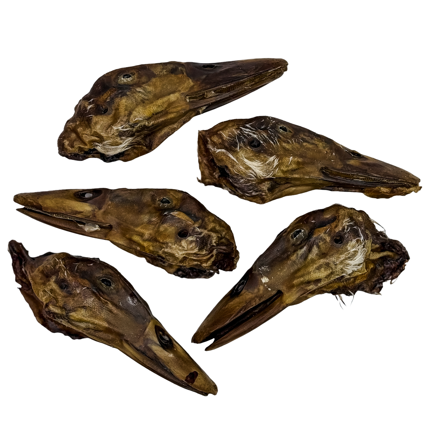 π¦ Duck Heads π¦πΊ