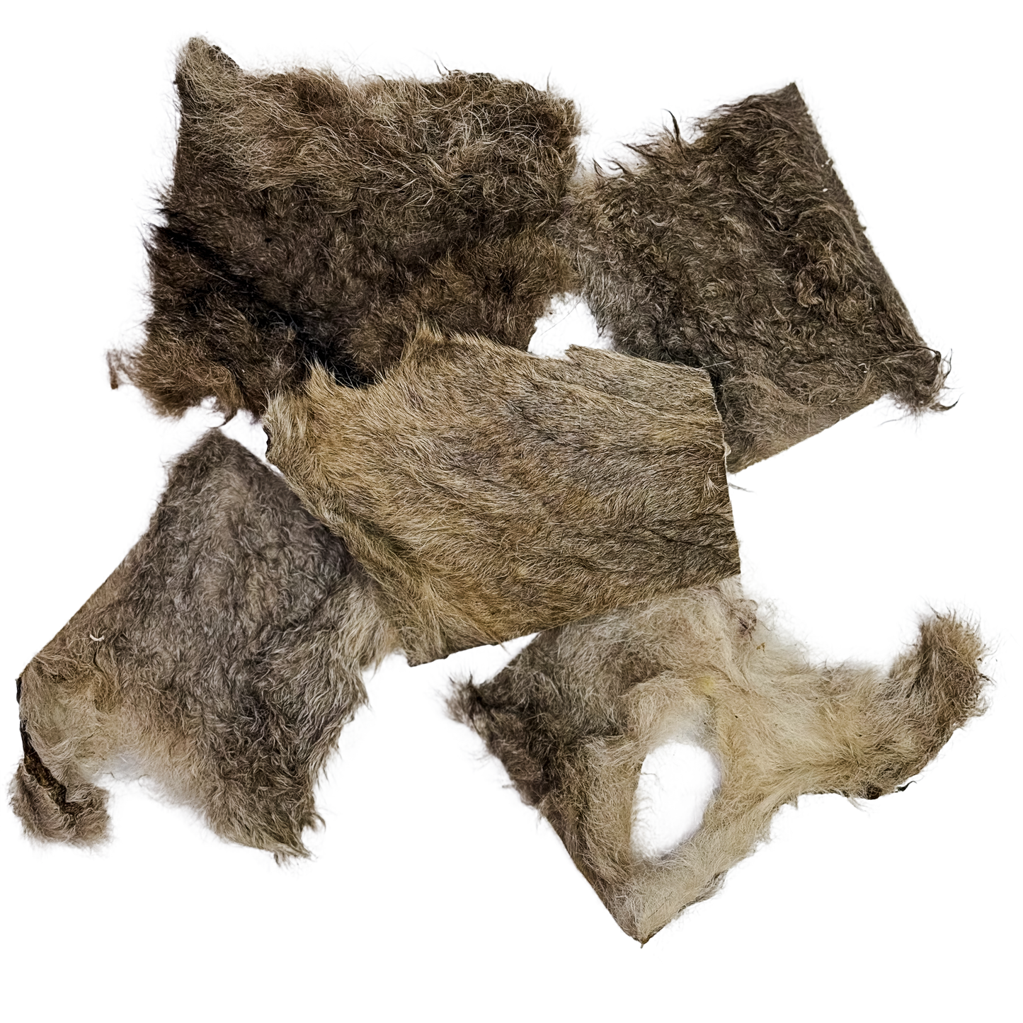 π¦ Furry Roo Skin π¦πΊ