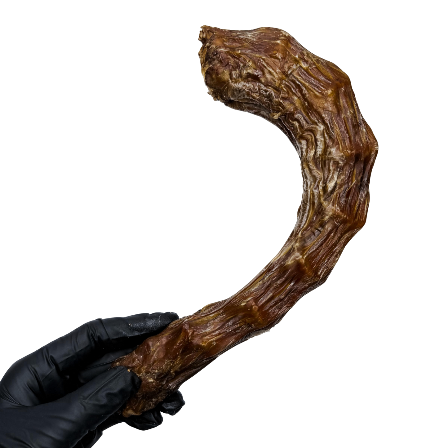 π¦ Turkey Neck π¦πΊ