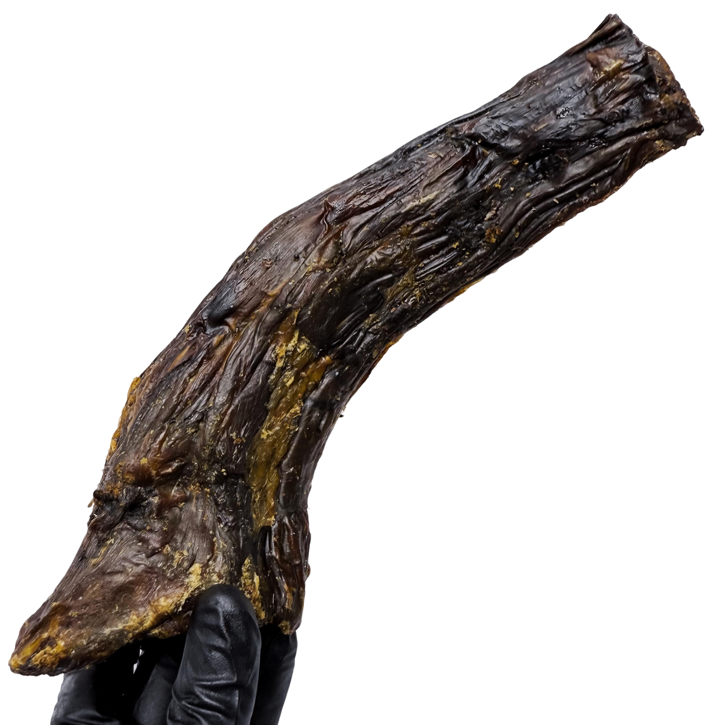 🦤 Emu Neck (Extra Large) 🇦🇺