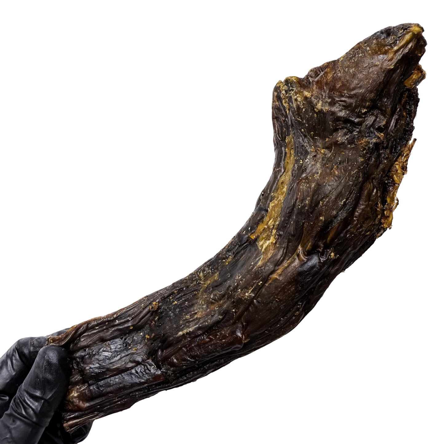 🦤 Emu Neck (Extra Large) 🇦🇺