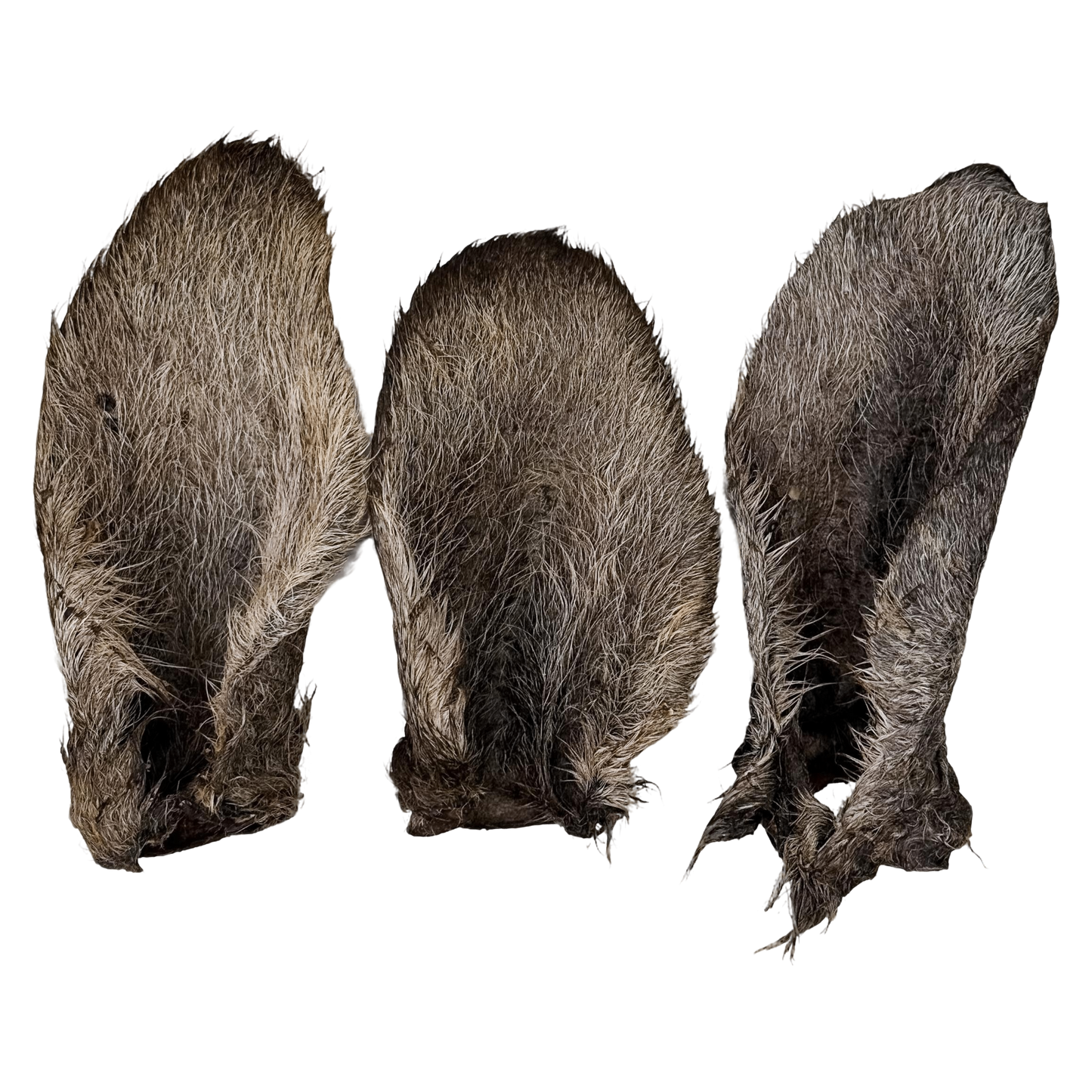π¦ NEW! Furry Roo Ears π¦πΊ