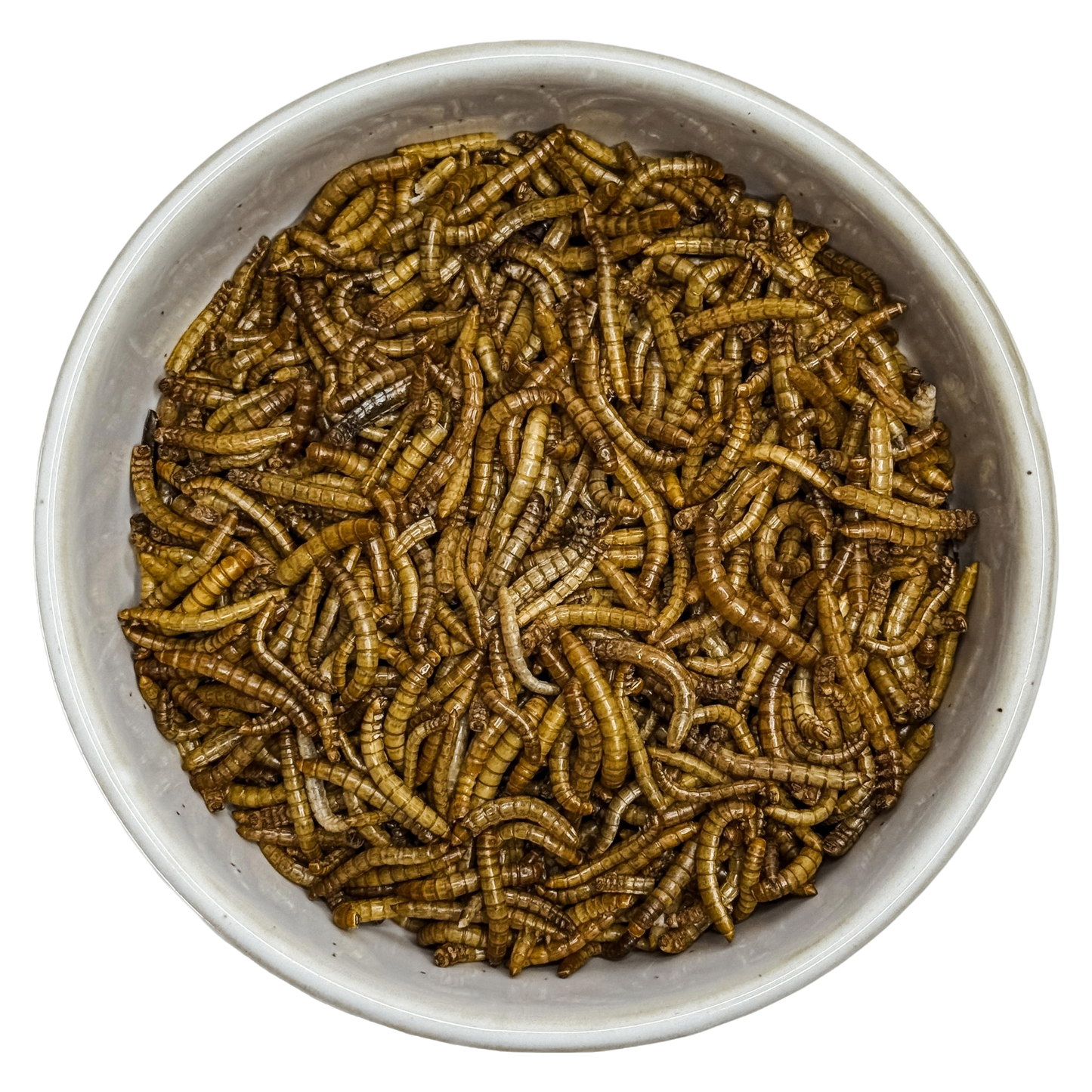 π Freeze Dried Mealworms π