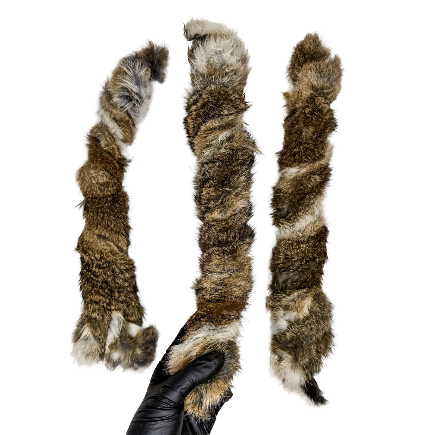 π Wild Furry Rabbit Twisties (2 SIZES!) π¦πΊ
