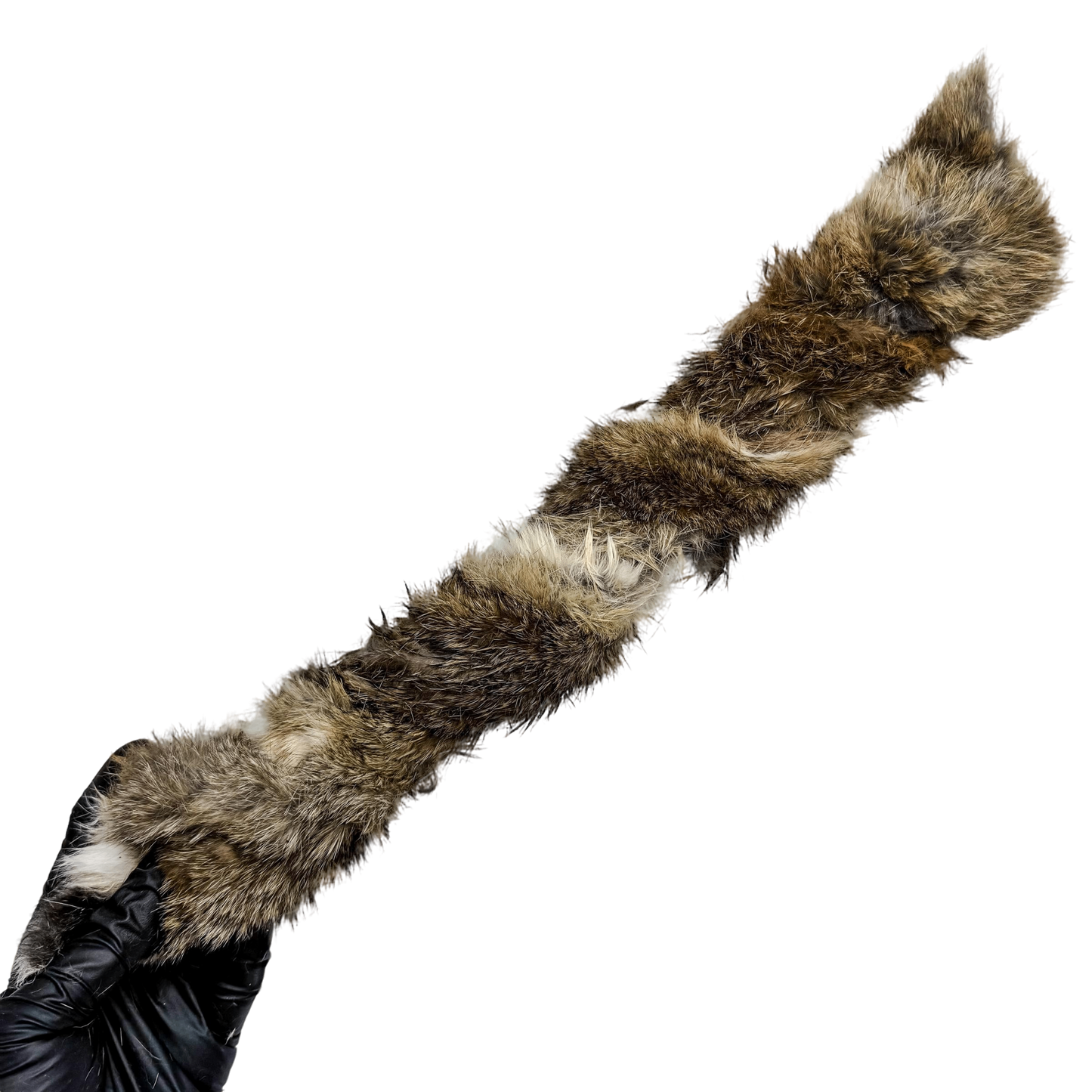 π Wild Furry Rabbit Twisties (2 SIZES!) π¦πΊ