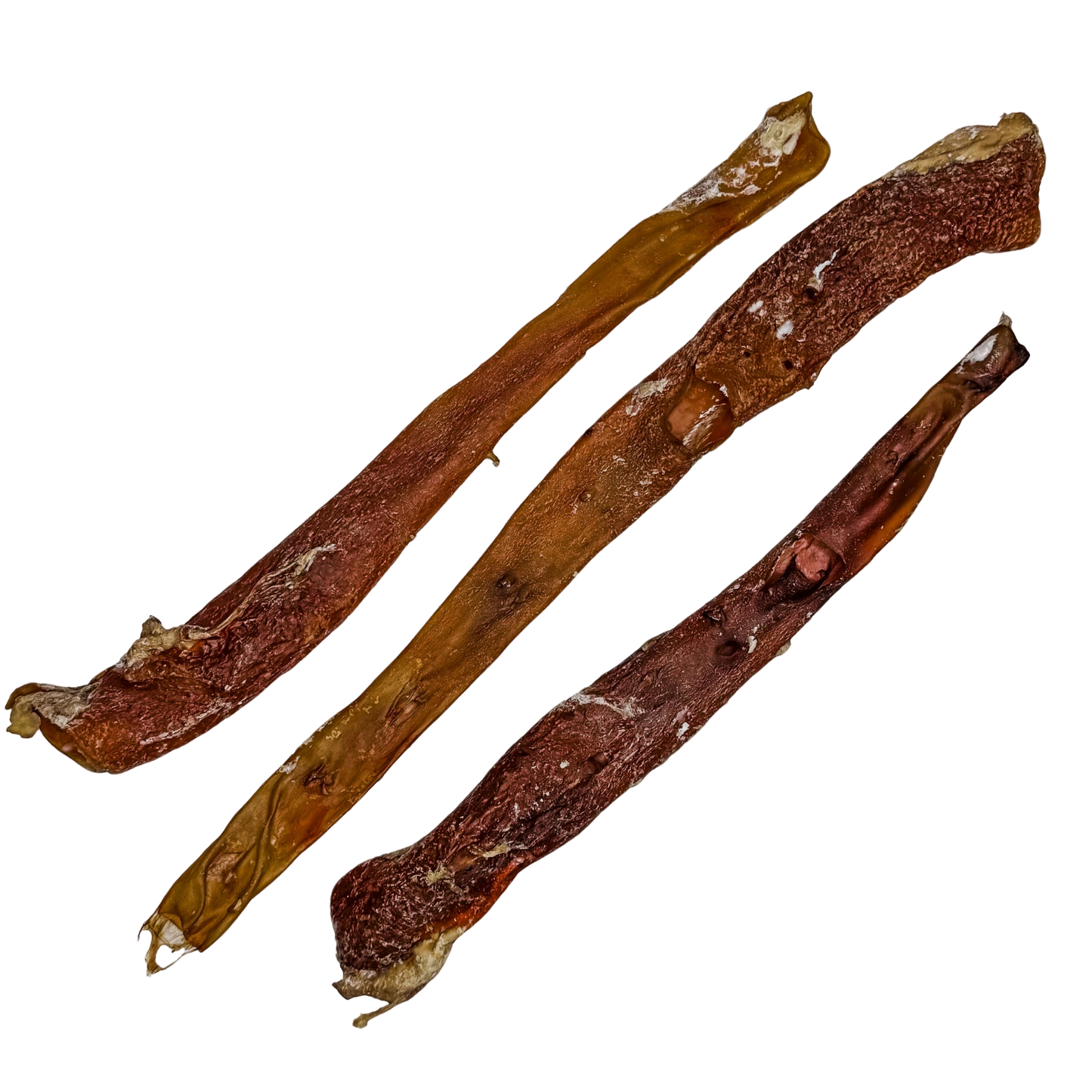 π Whole Beef Aorta Tubes π¦πΊ