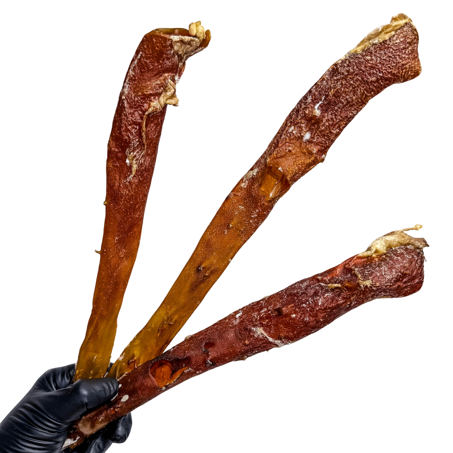 π Whole Beef Aorta Tubes π¦πΊ