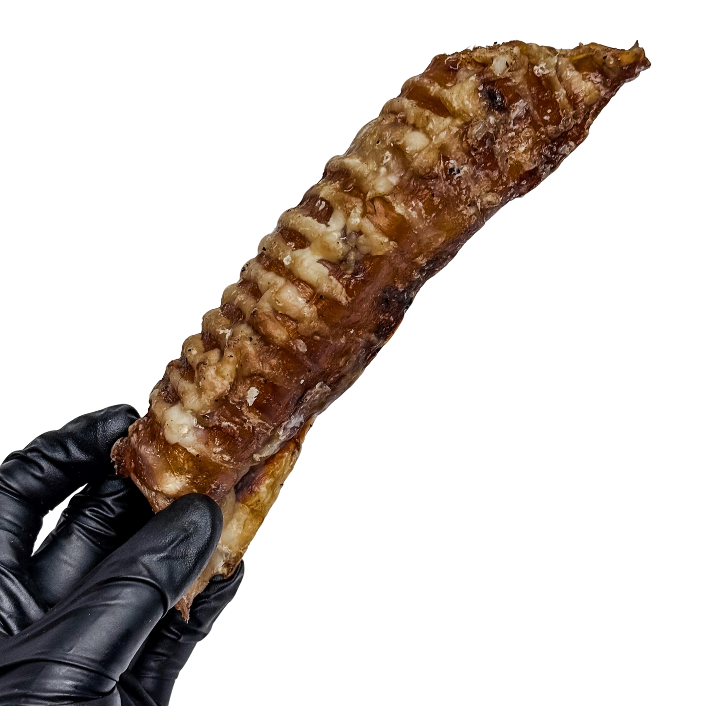 π Whole Beef Trachea Tubes π¦πΊ