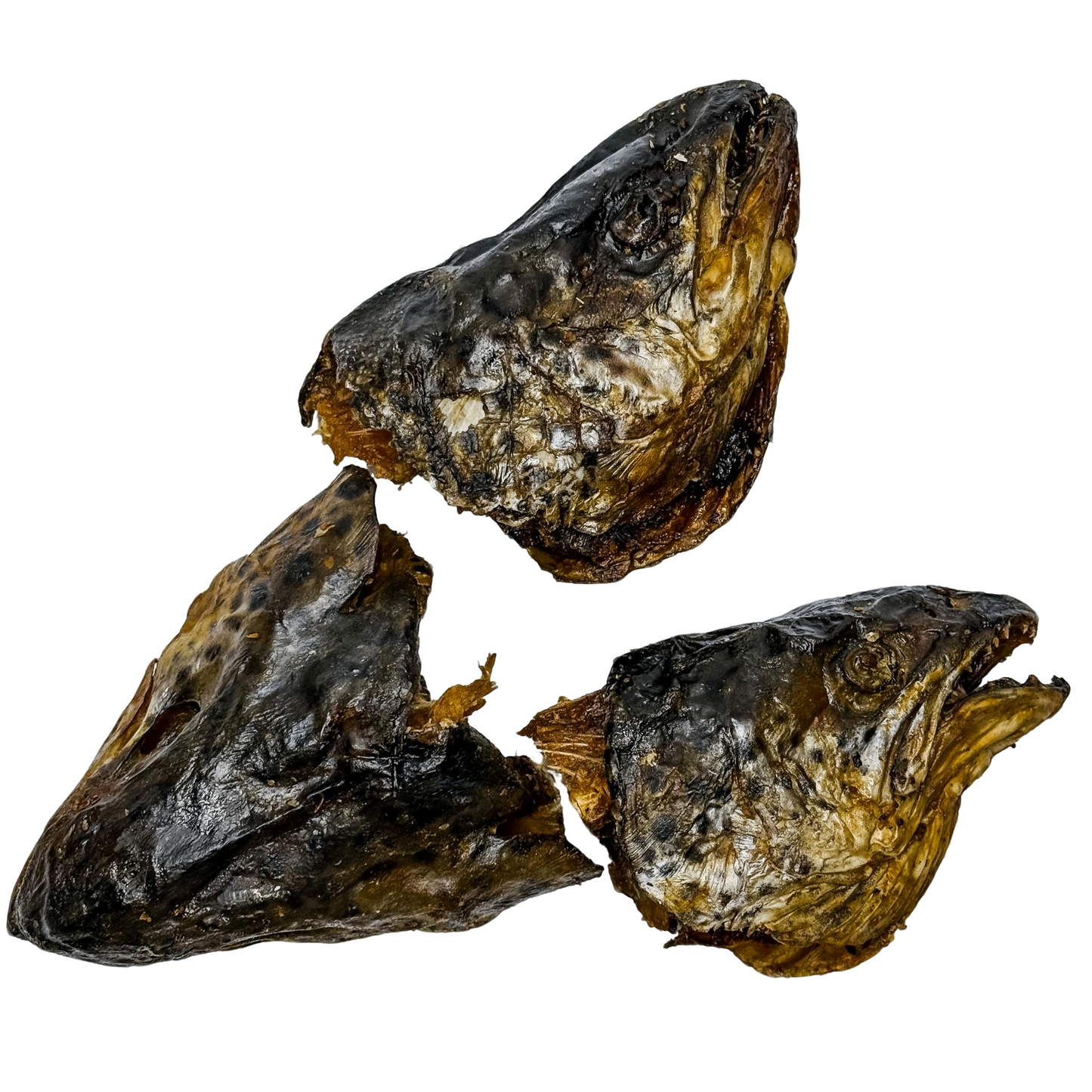 ๐ Atlantic Salmon Heads ๐ฆ๐บ