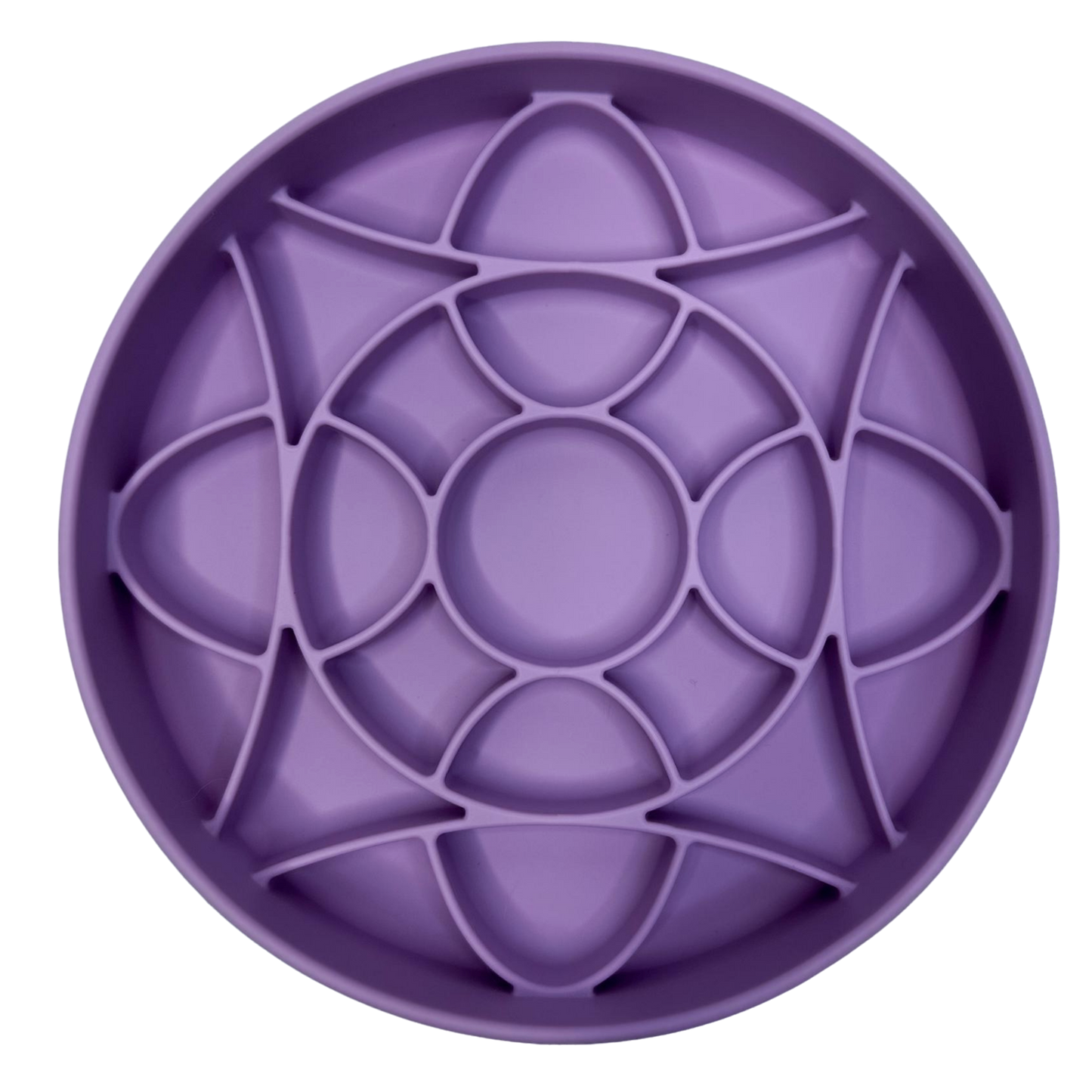 πβ¨ Celestial Slow Feeder Bowl