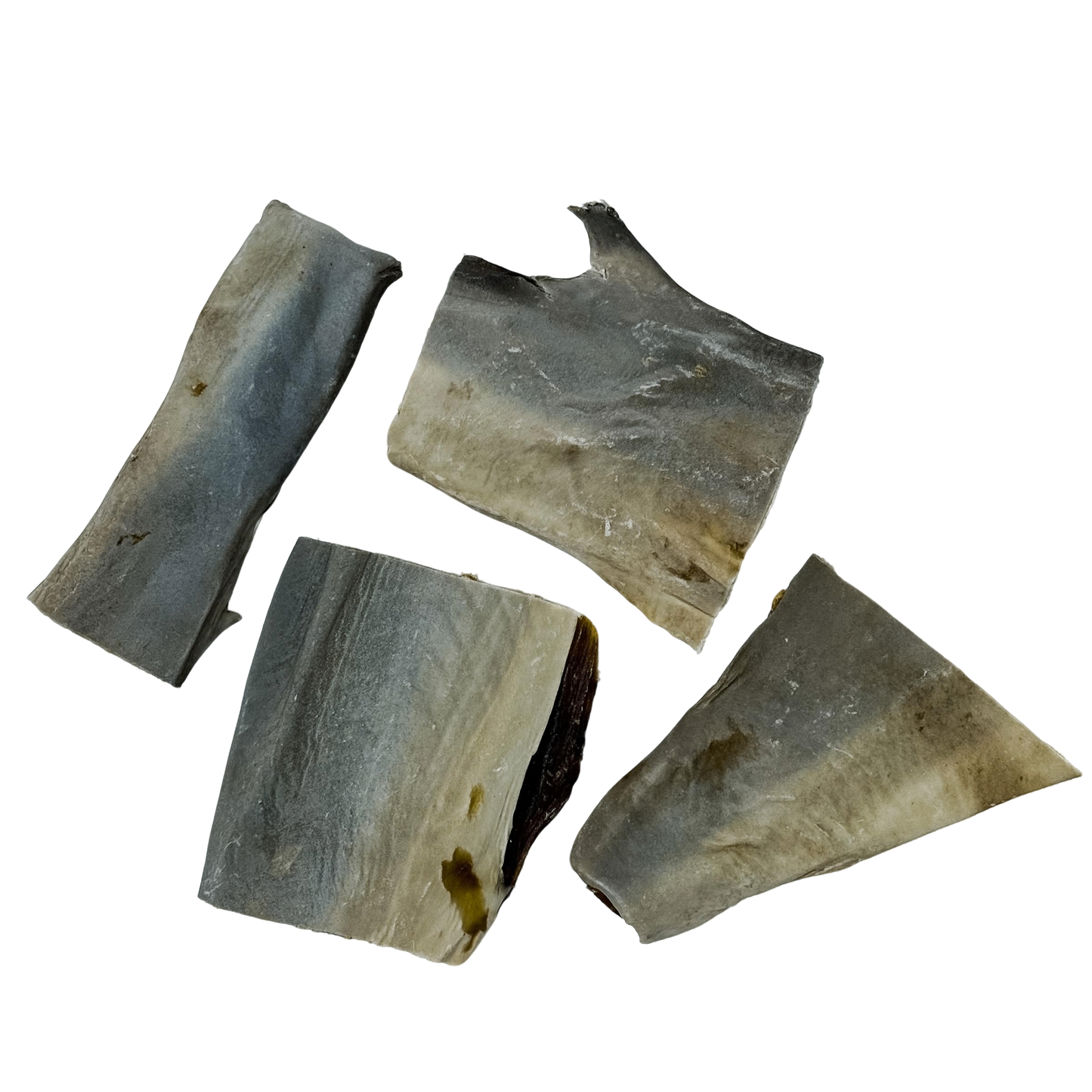 π¦ Shark Skin π¦πΊ