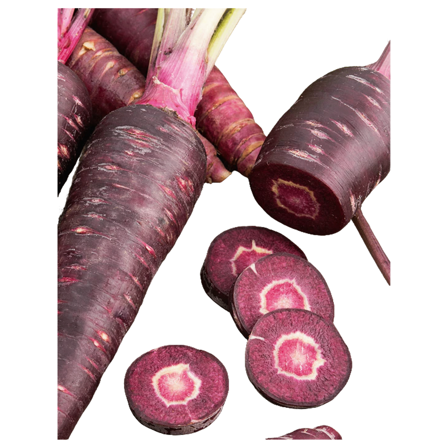 Purple carrot powder
