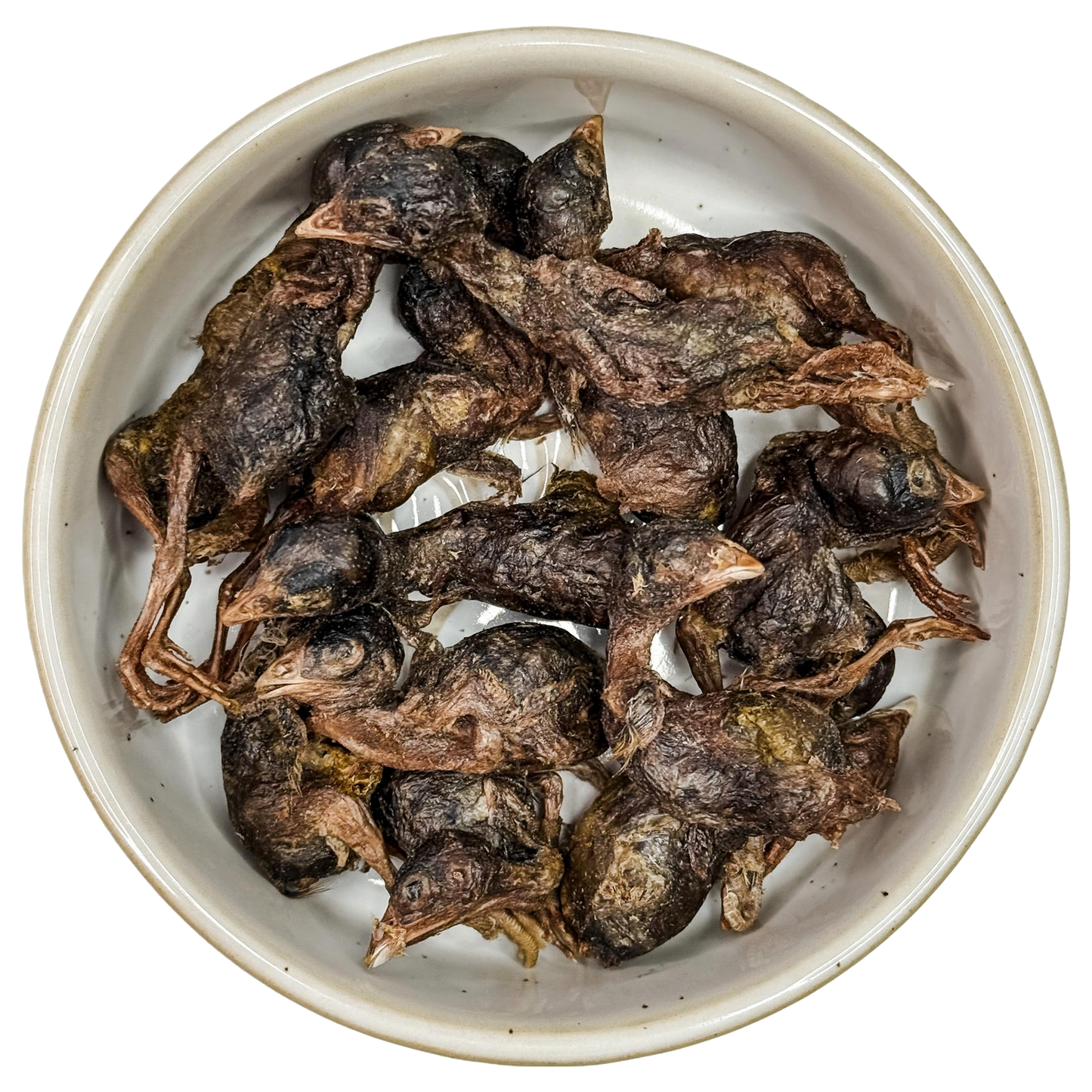 Freeze Dried Quail Chicks