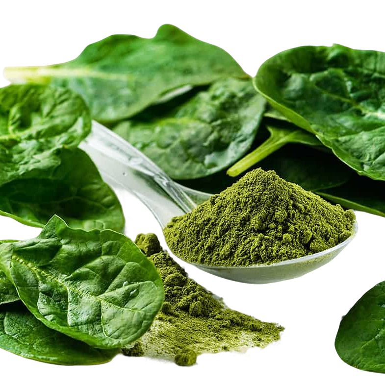 Spinach Powder