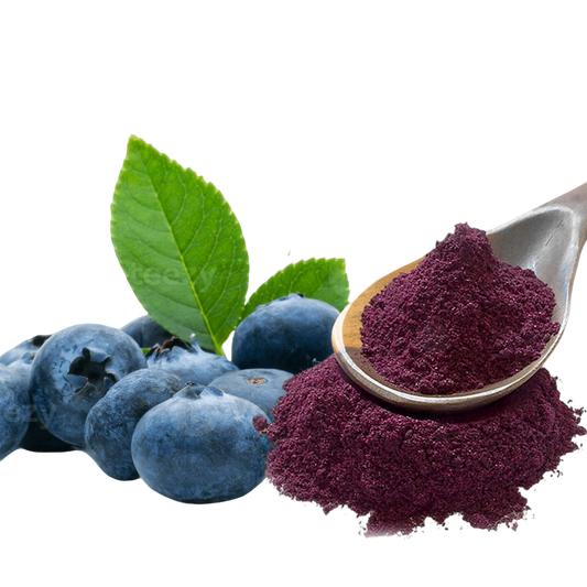 NZ Blueberry Powder