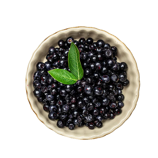 Organic Maqui Berry Powder