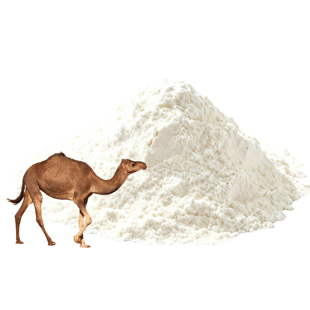 🐪 Freeze Dried Aussie Camel Milk Powder