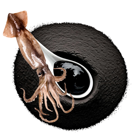Meaty Squid Ink Powder