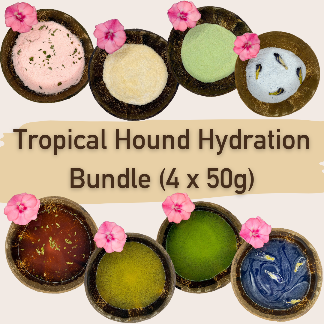 🔥 Tropical Hound Hydration Bundle 🥥💦 (4 x 50g)