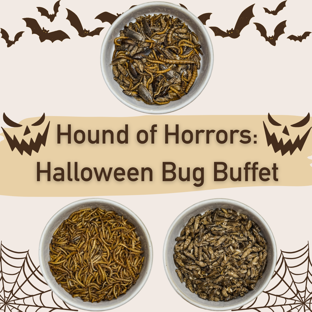 π Hound of Horrors: Halloween Bug Bundle π»