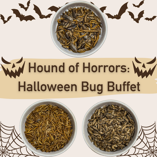 π Hound of Horrors: Halloween Bug Bundle (3 x 5g) π»