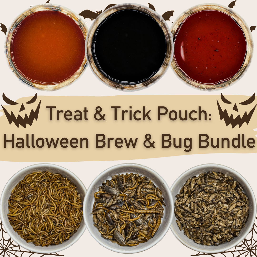 🎃 Treat & Trick Pouch: Halloween Brew & Bug Bundle 👻