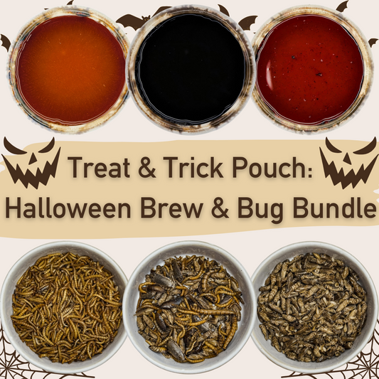π Treat & Trick Pouch: Halloween Brew & Bug Bundle (6 Items) π»