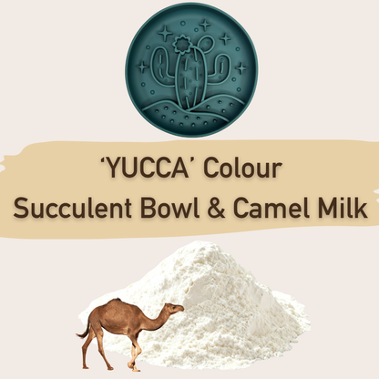 🐪 Limited Desert Bundle: Succulent Bowl & Camel Milk 🌵