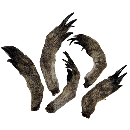 🦘 Furry Roo Hands 🇦🇺