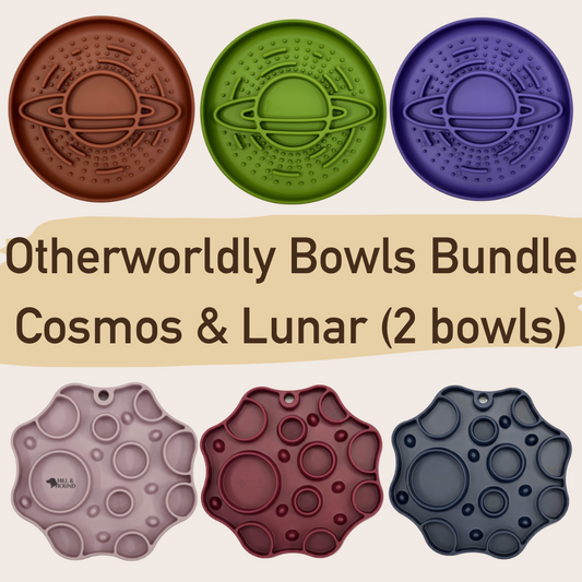 Otherworldly Bowls Bundle (2 bowls)