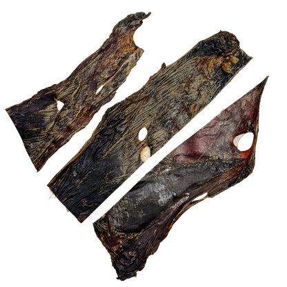 🦘 Large Kangaroo Jerky 🇦🇺