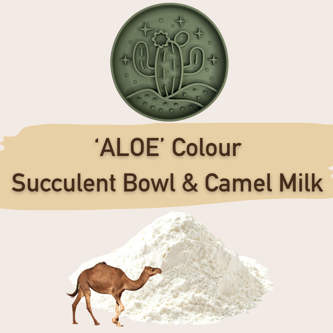 🐪 Limited Desert Bundle: Succulent Bowl & Camel Milk 🌵