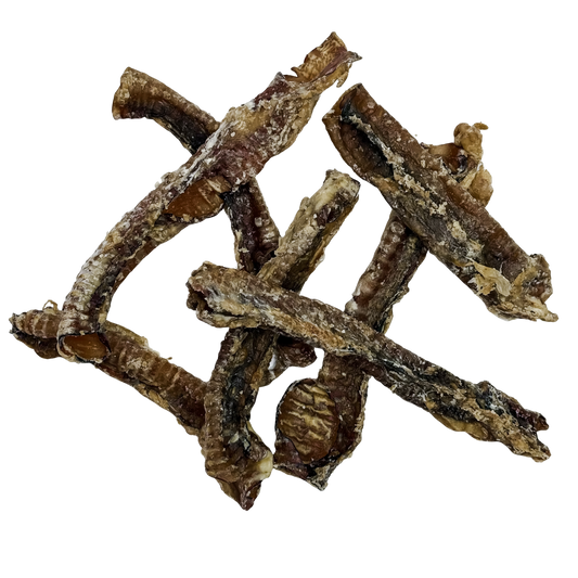 🐑 Sheep Trachea 🇦🇺