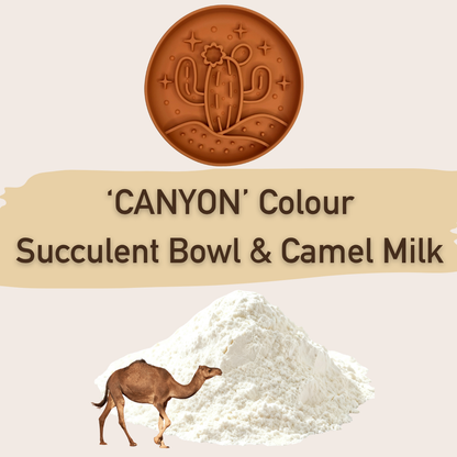 🐪 Limited Desert Bundle: Succulent Bowl & Camel Milk 🌵