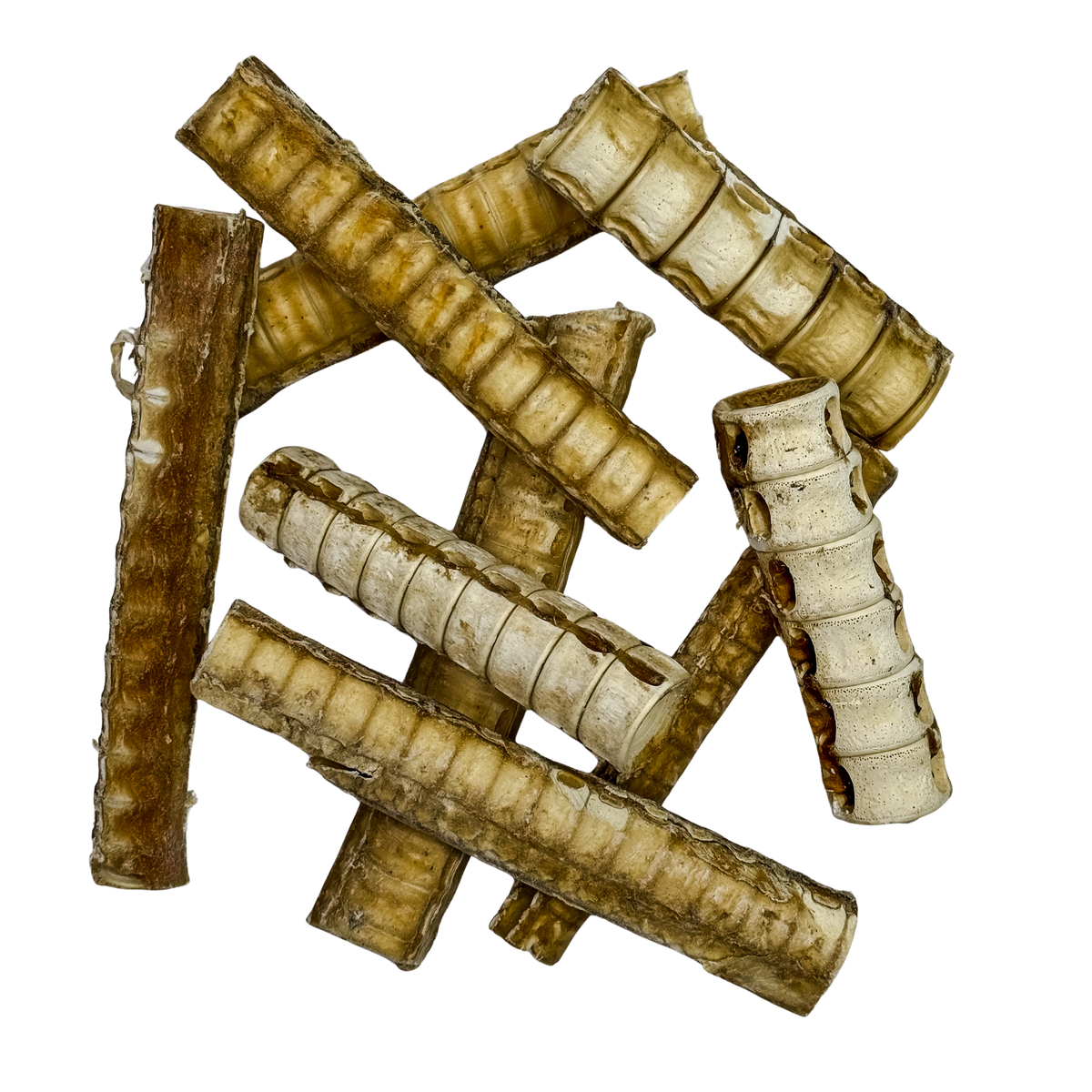 🦈 Shark Cartilage 🇦🇺