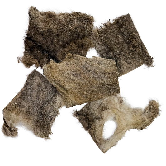 🦘 Furry Roo Skin 🇦🇺