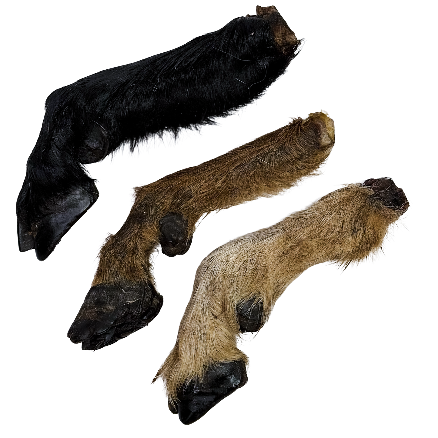 🐐 Goat Legs 🇦🇺