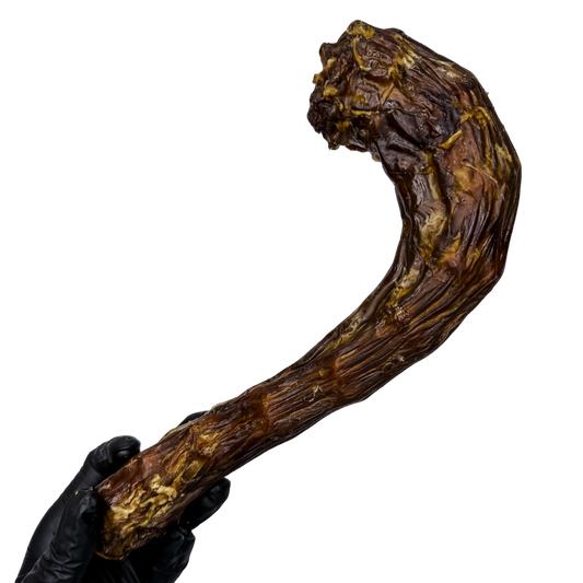 🦃 Turkey Neck 🇦🇺