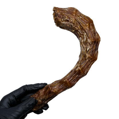 🦃 Turkey Neck 🇦🇺