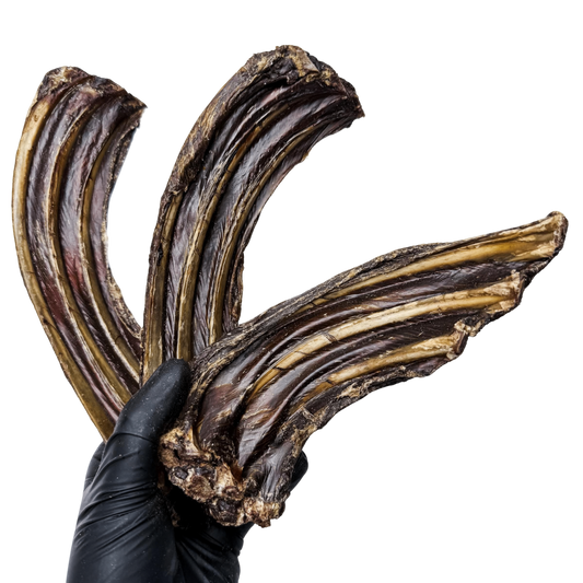🦘 Roo Riblets 🇦🇺