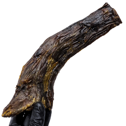 🦤 Emu Neck (Extra Large) 🇦🇺