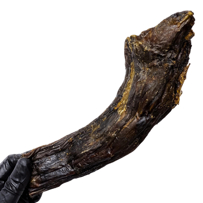 🦤 Emu Neck (Extra Large) 🇦🇺