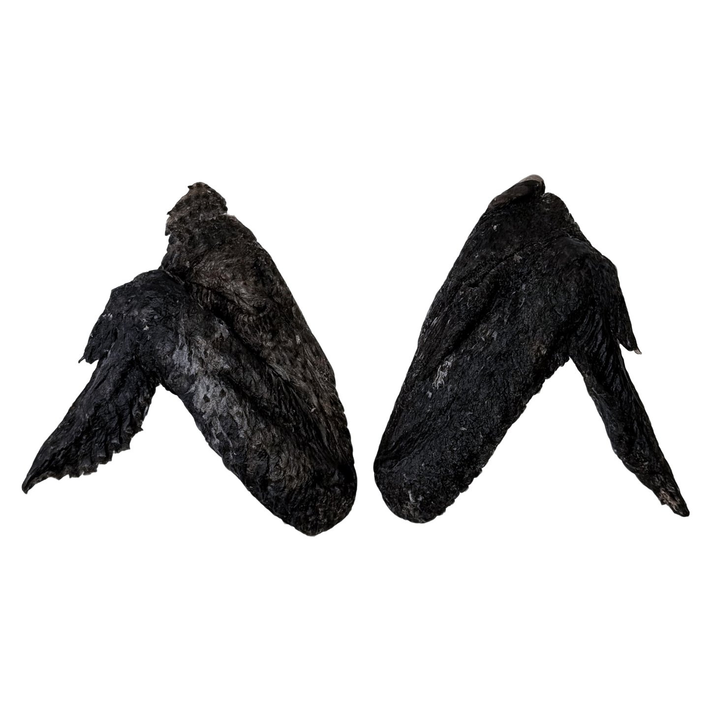 🎃 Limited Stock: Freeze Dried Silkie Chicken Wings 🖤