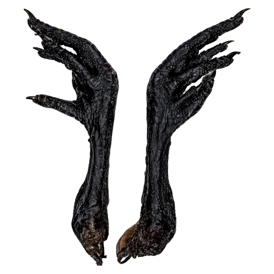 🎃 Limited Stock: Freeze Dried Silkie Chicken Clawed Feet 🖤
