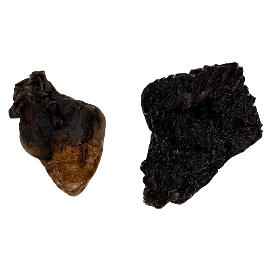 🎃 Limited Stock: Freeze Dried Silkie Chicken Heart & Hind 🖤