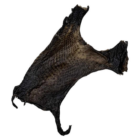 🎃 Limited Stock: Air Dried Silkie Chicken Flayed Skin 🖤