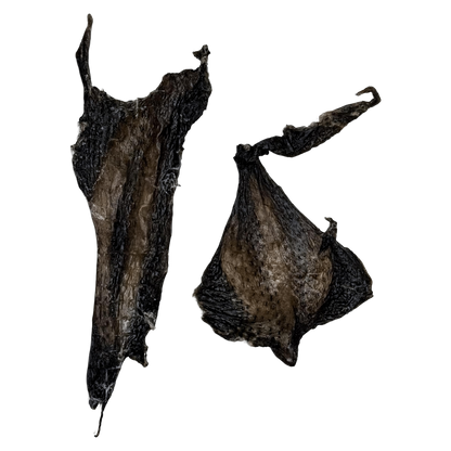 🎃 Limited Stock: Air Dried Silkie Chicken Flayed Skin 🖤