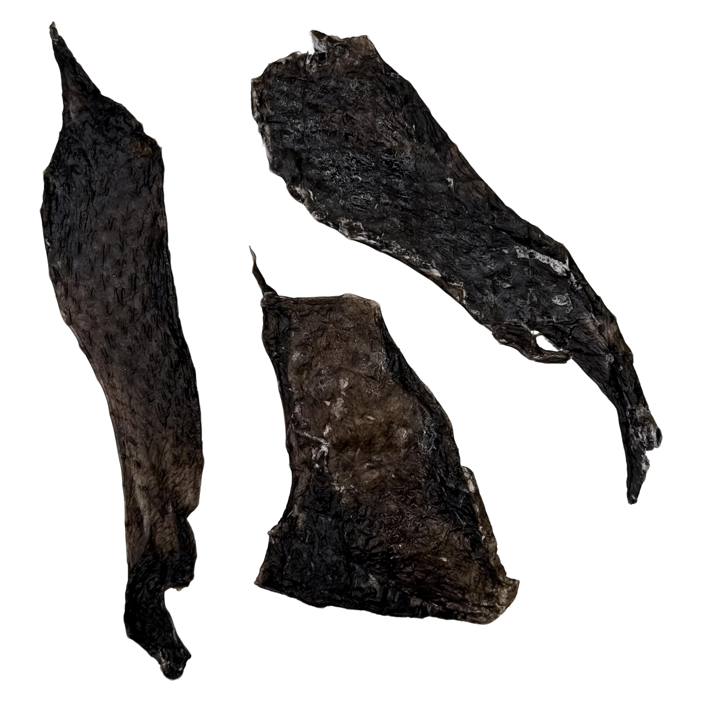 🎃 Limited Stock: Air Dried Silkie Chicken Flayed Skin 🖤