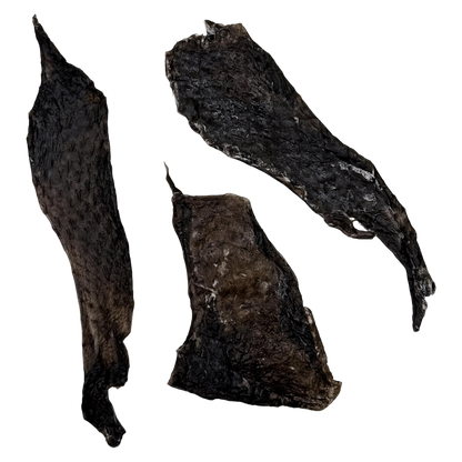 🎃 Limited Stock: Air Dried Silkie Chicken Flayed Skin 🖤